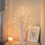 Picture of 2FT White Birch Twig Tree with 24 Warm White LED Lights – Battery Operated Tabletop Lighted Tree for Home, Wedding, Party, Easter & Christmas Decor – Flexible Branches, Indoor Decoration
