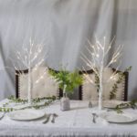 Picture of 2FT White Birch Twig Tree with 24 Warm White LED Lights – Battery Operated Tabletop Lighted Tree for Home, Wedding, Party, Easter & Christmas Decor – Flexible Branches, Indoor Decoration