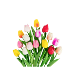 Picture of 16 Pcs Artificial Tulips Flowers Fake Flowers Latex Tulips Real Touch for Party Home Wedding Decoration and DIY Decor, Multicolor