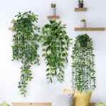Picture of Artificial Plant Eucalyptus - Set of 3 Decorative Artificial Hanging Plants with Pots Fake Ivy Vines Greenery Faux Trailing Plants 