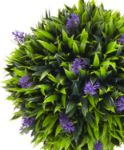 Picture of Set of 2 Decorative Artificial Plants Ball Trees with Lavender Flowers in Pot Fake Plants for Home Indoor Outdoor Decor, 60cm