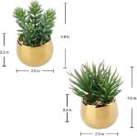 Picture of 2 PCS Fake Plants Artificial Succulent Plants, Faux Succulents in Geometric Gold Ceramic Pots Fake Succulent Indoor Plants
