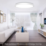 Picture of LED Ceiling Light Dimmable, 24W 3200LM, RGB Color Changing Flush Ceiling Lamp with Remote Control, Adjustable Brightness & Color Temperature for Bedroom, Living Room, Kitchen