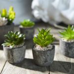 Picture of Pack of 5 Artificial Succulent Plants in Pots – Includes 10 Realistic Faux Succulents with Decorative Stones – Fake Potted Plants for Home, Office & Outdoor Decor