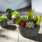 Picture of Pack of 5 Artificial Succulent Plants in Pots – Includes 10 Realistic Faux Succulents with Decorative Stones – Fake Potted Plants for Home, Office & Outdoor Decor