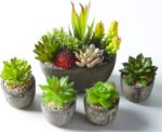 Picture of Pack of 5 Artificial Succulent Plants in Pots – Includes 10 Realistic Faux Succulents with Decorative Stones – Fake Potted Plants for Home, Office & Outdoor Decor