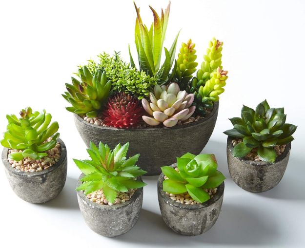 Picture of Pack of 5 Artificial Succulent Plants in Pots – Includes 10 Realistic Faux Succulents with Decorative Stones – Fake Potted Plants for Home, Office & Outdoor Decor