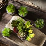Picture of Pack of 5 Artificial Succulent Plants in Pots – Includes 10 Realistic Faux Succulents with Decorative Stones – Fake Potted Plants for Home, Office & Outdoor Decor
