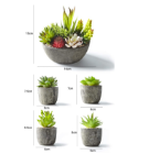 Picture of Pack of 5 Artificial Succulent Plants in Pots – Includes 10 Realistic Faux Succulents with Decorative Stones – Fake Potted Plants for Home, Office & Outdoor Decor