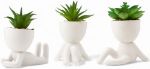 Picture of Seated Succulent Set (Set of 3) – Porcelain Pots with Small Artificial Plants for Indoors | Faux Plants for Bedroom, Office Desk, Bathroom – Shelf Decorations