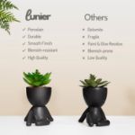 Picture of Seated Succulent Set (Set of 3) – Porcelain Pots with Small Artificial Plants for Indoors | Faux Plants for Bedroom, Office Desk, Bathroom – Shelf Decorations
