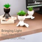 Picture of Seated Succulent Set (Set of 3) – Porcelain Pots with Small Artificial Plants for Indoors | Faux Plants for Bedroom, Office Desk, Bathroom – Shelf Decorations