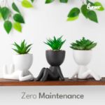 Picture of Seated Succulent Set (Set of 3) – Porcelain Pots with Small Artificial Plants for Indoors | Faux Plants for Bedroom, Office Desk, Bathroom – Shelf Decorations