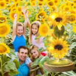 Picture of Mothers Day Flowers Gifts for Women – Sunflowers in Glass Dome, Eternal Flower Gift for Mom, Wife, Grandmother for Wedding, Birthday, Anniversary (Yellow)